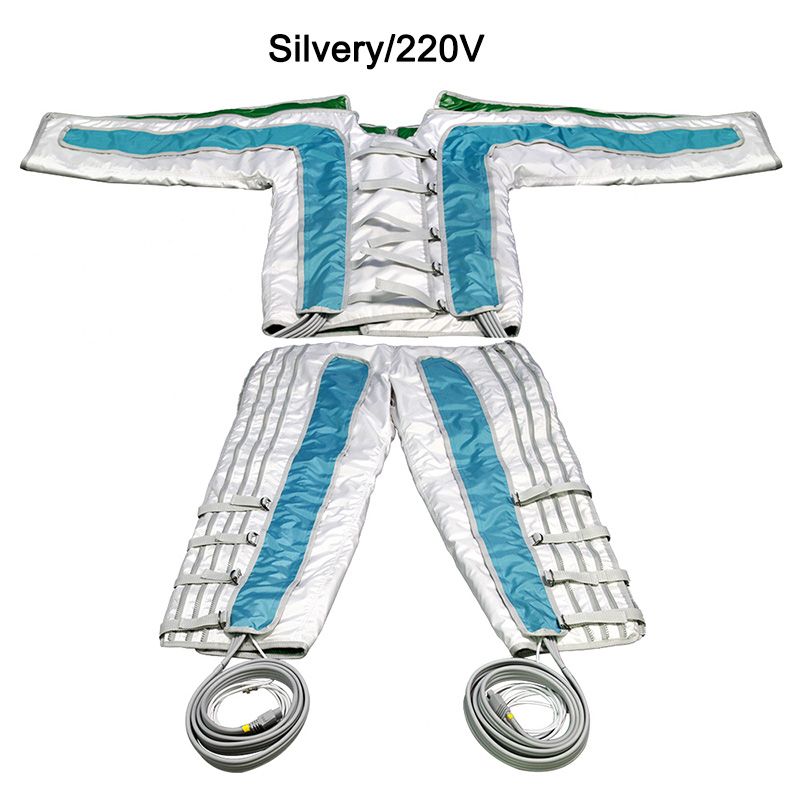 Silvery/220V