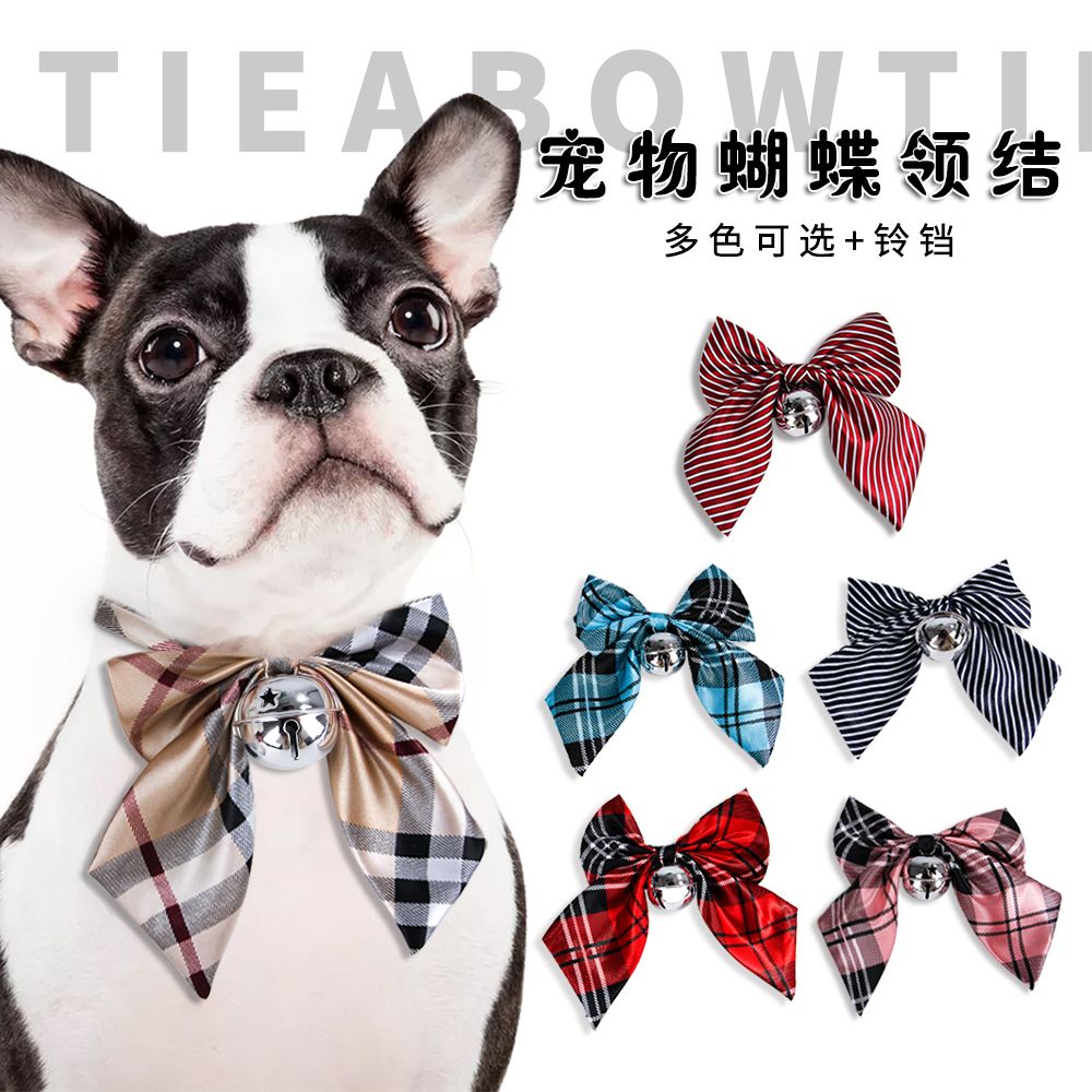 Acheter Collier Detachable Avec Cloche Colliers De Chat Noeud Papillon Pour Chat Ou Chaton Collier De Securite Reglable Pour Animaux De Compagnie De 8 5 A 16 5 Pouces Etiquettes Didentification Pour Animaux De