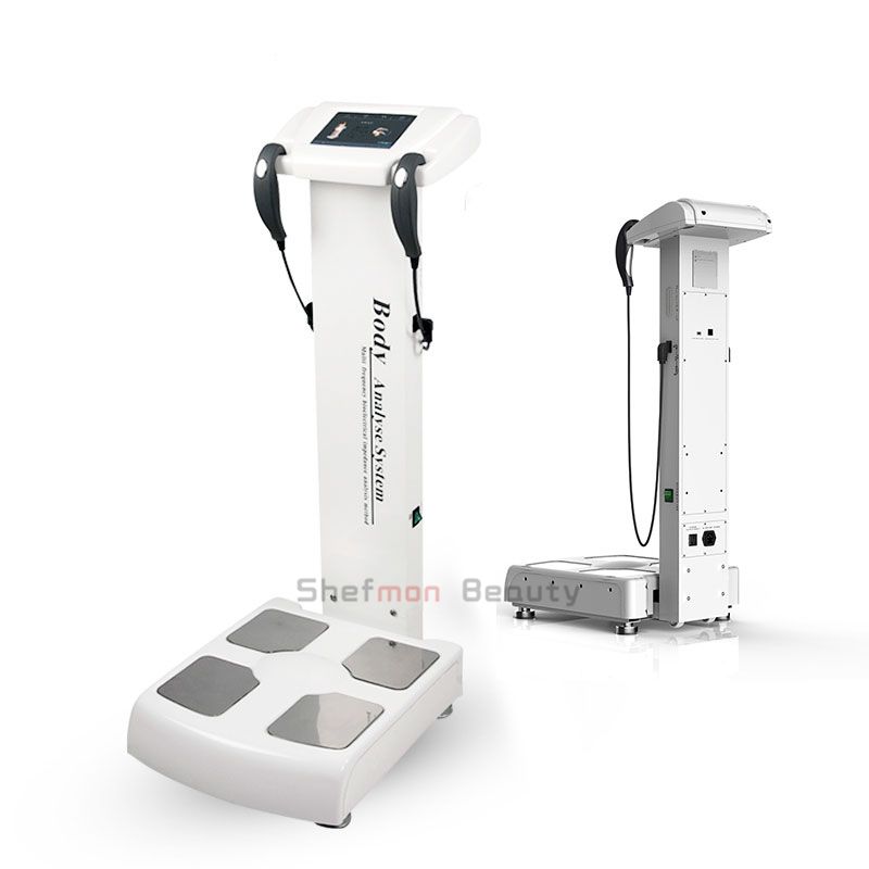 New Professional Body Composition Home Use BMI Weight Machine Analysis