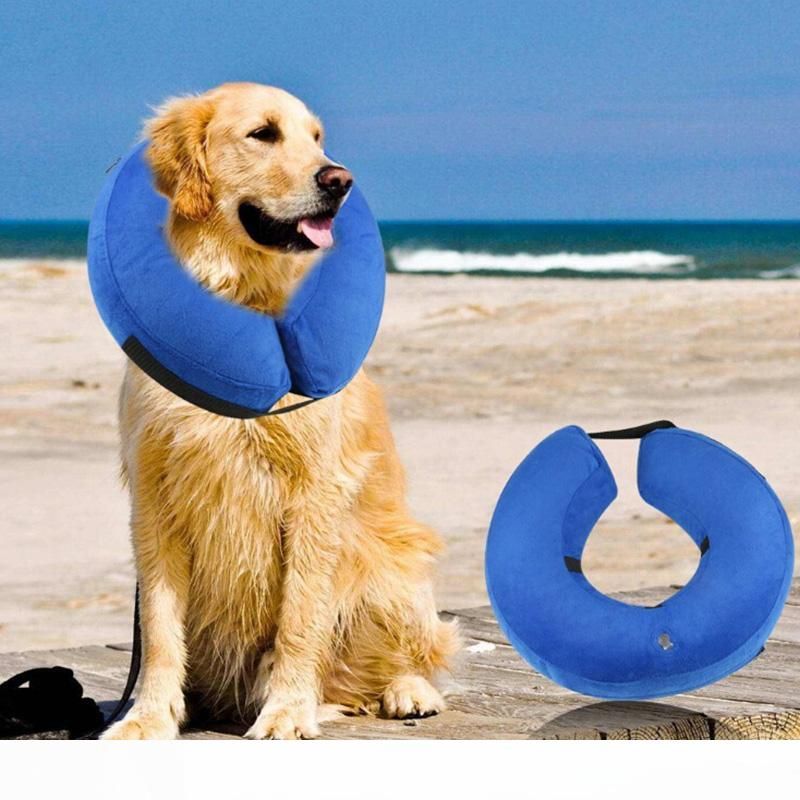 comfortable e collar