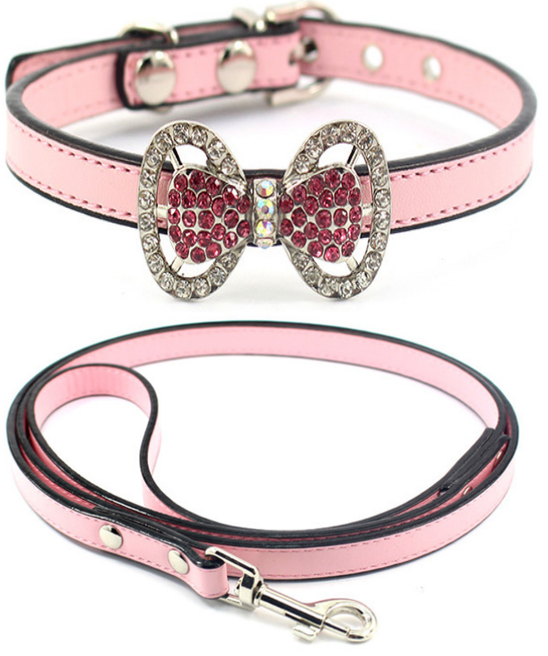 small dog collars and leads