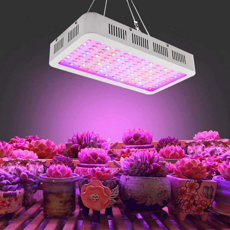 Plant Lamps 300W Growth Lamps New Fill Lighting Led Vegetable Planting