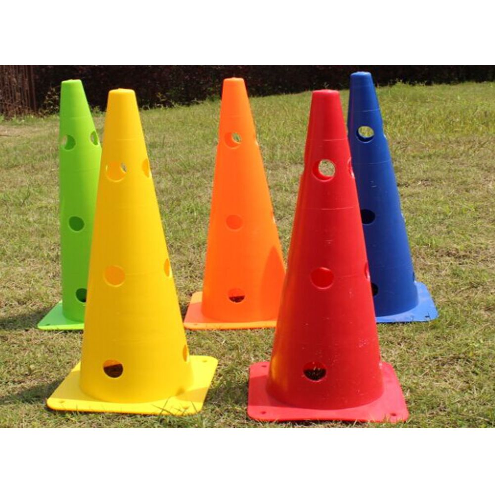 dog training cones