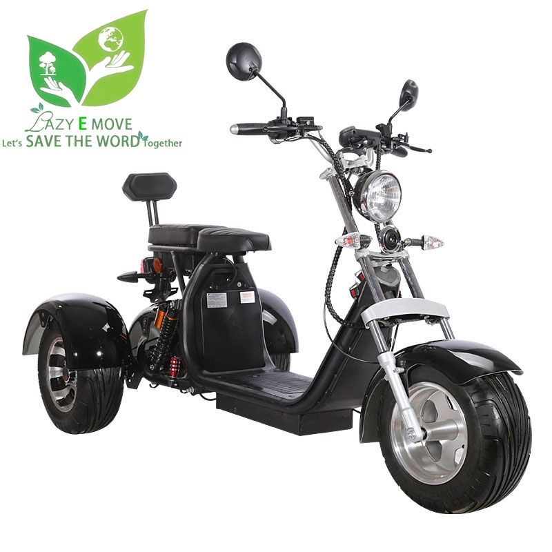 tricycle price for adults