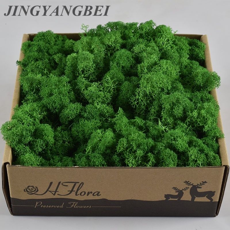 50g//bag Micro Landscape Garden supplies Green Artificial Dried Moss For Plants