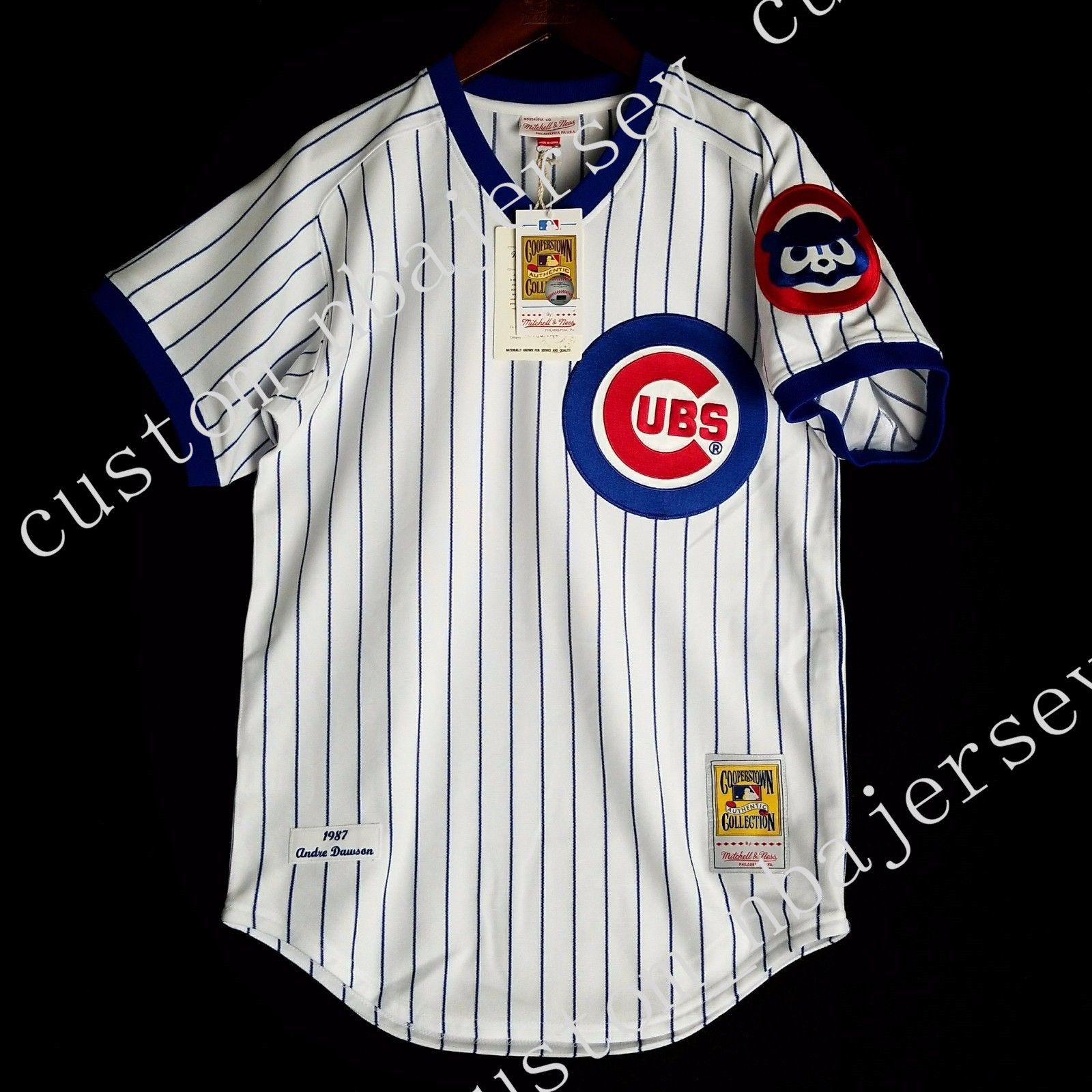 andre dawson jersey