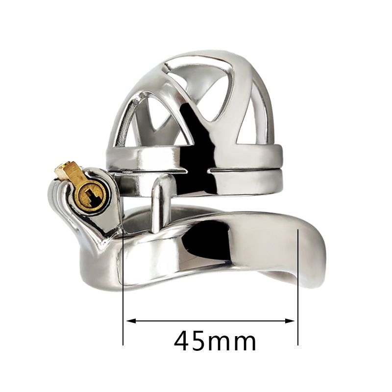 45mm Ring + Käfig