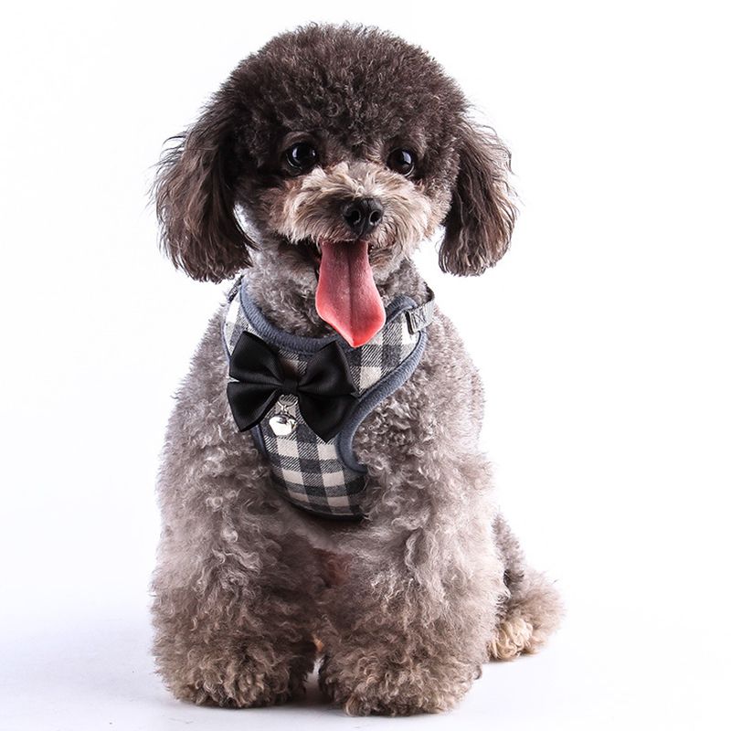dog harness with bow
