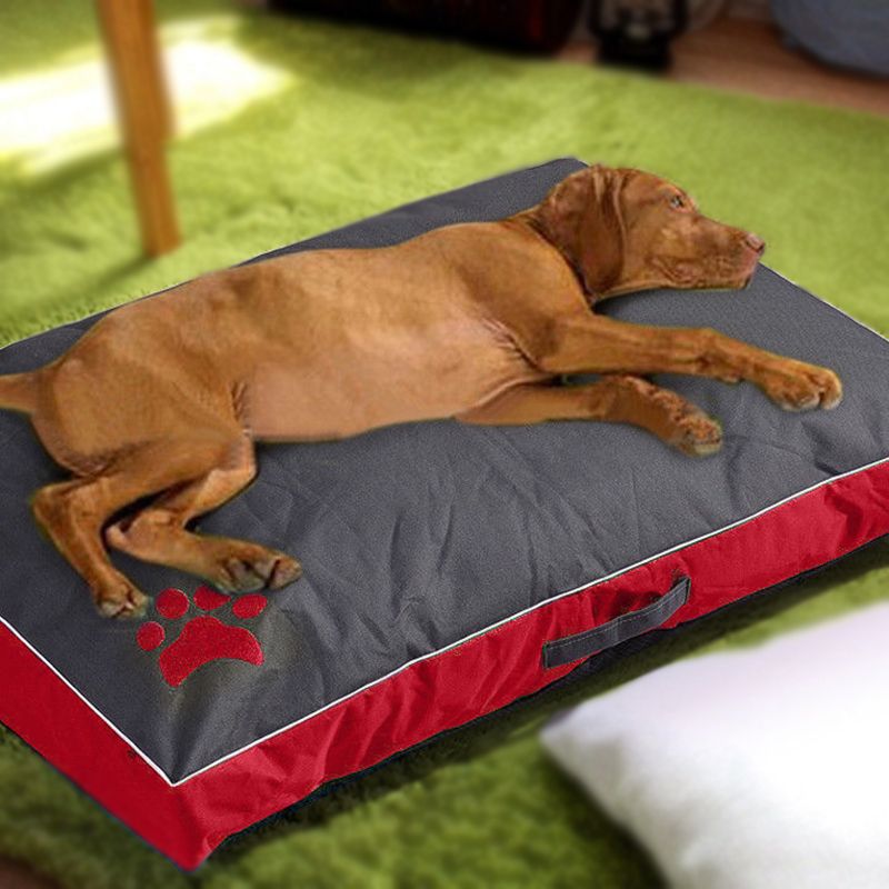 durable dog beds