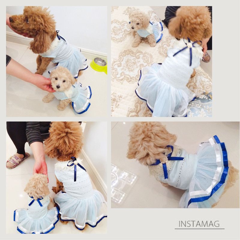 2021 F32 Dog Cat Summer Cute Dresses Dog Summer Dress Sweet Pet Princess Dresses Puppy Wedding Skirts From Love4pet 3 72 Dhgate Com