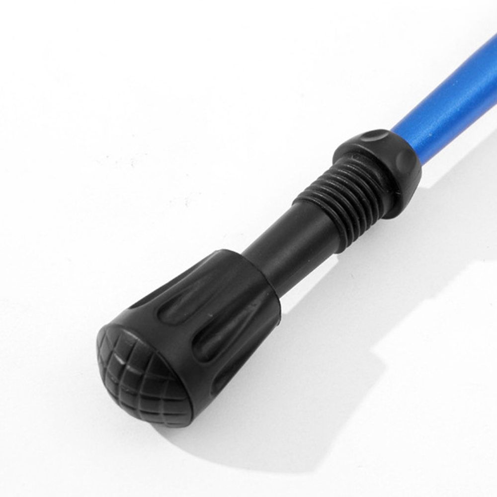 trekking pole replacement tips