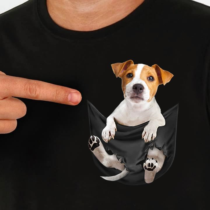 dog in a pocket t shirt