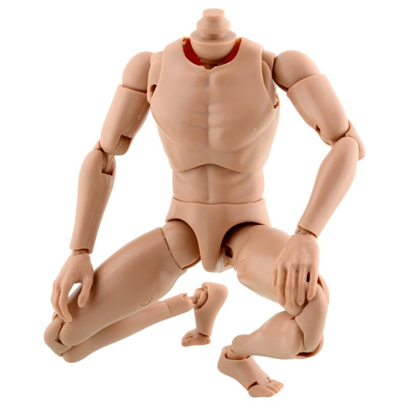 1:6 Scale Narrow Shoulder Male Muscular Figure SUPER DURABLE For Hot Toys TTM18
