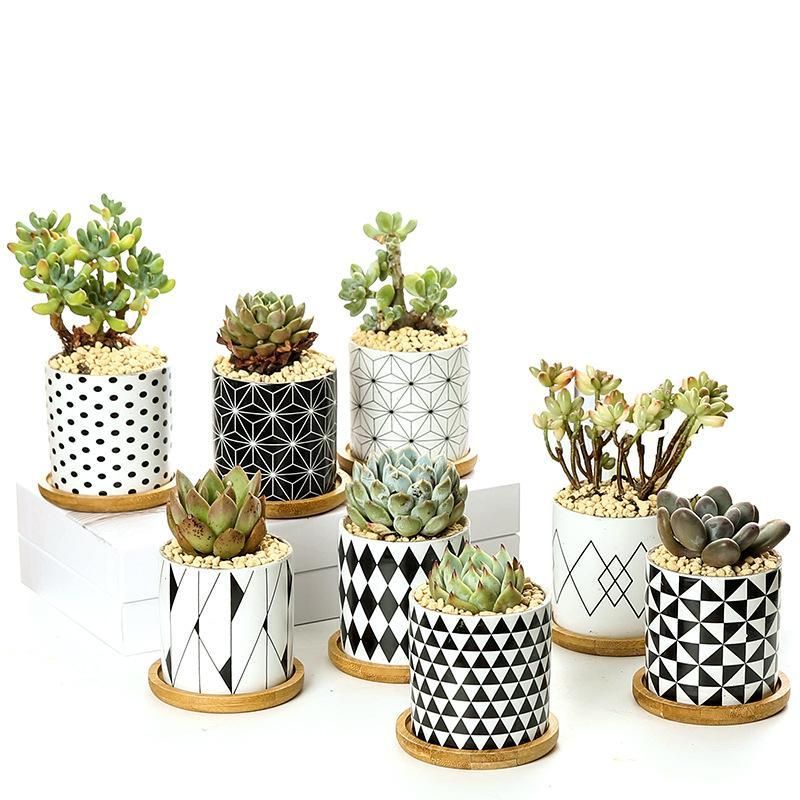 2020 Modern Geometric Pattern Ceramics Flower Pot For Succulent Plant
