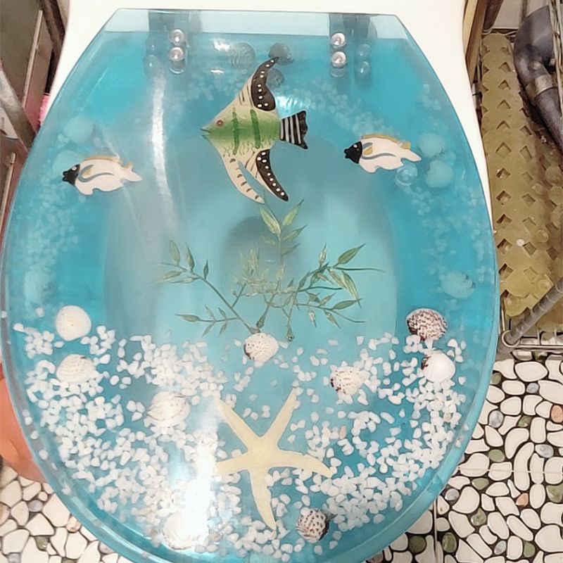 ocean toilet seat