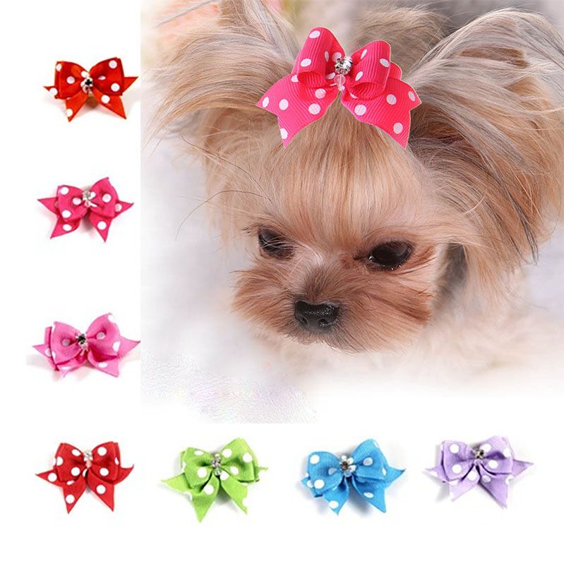 Dog head accessories Clearance