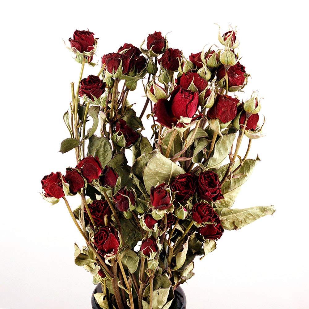 Acquista Tooget Mazzi Di Fiori Secchi Secchi Naturali Legati Veri E Propri Mazzi Di Fiori Secchi Raccolti Da Fiori Artigianali A 18 48 Dal Sachets Dhgate Com