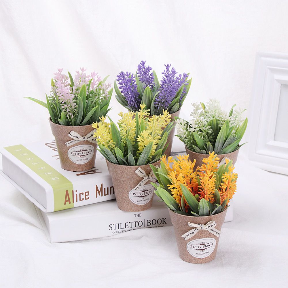 Lavandula Angustifolia Hidcote Ingiliz Lavantasi Fidani Saksida Fidan Satisi Fide Satisi Internetten Fidan Siparisi Bodur Asili Sertifikali Meyve Fidani Sus Bitkileri