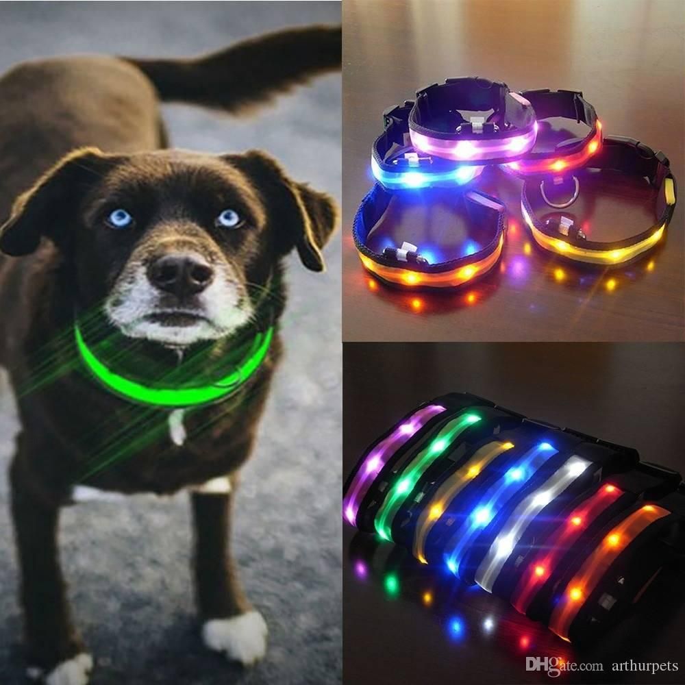 dog security collar