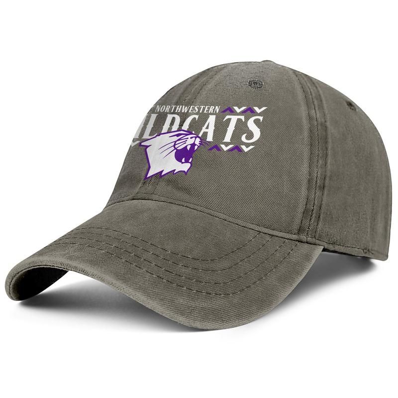 northwestern baseball cap