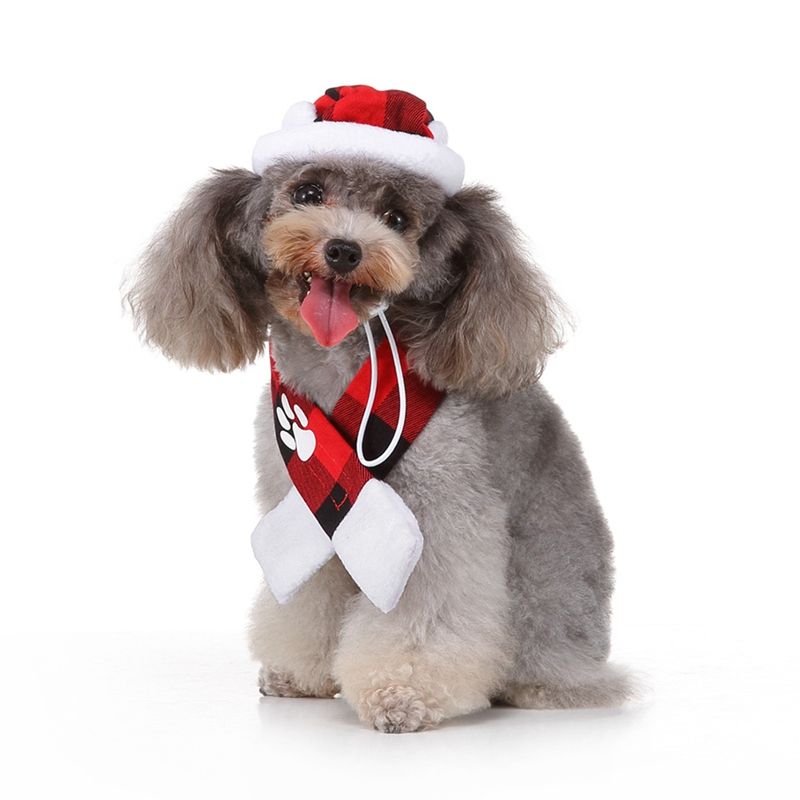 puppy winter hat