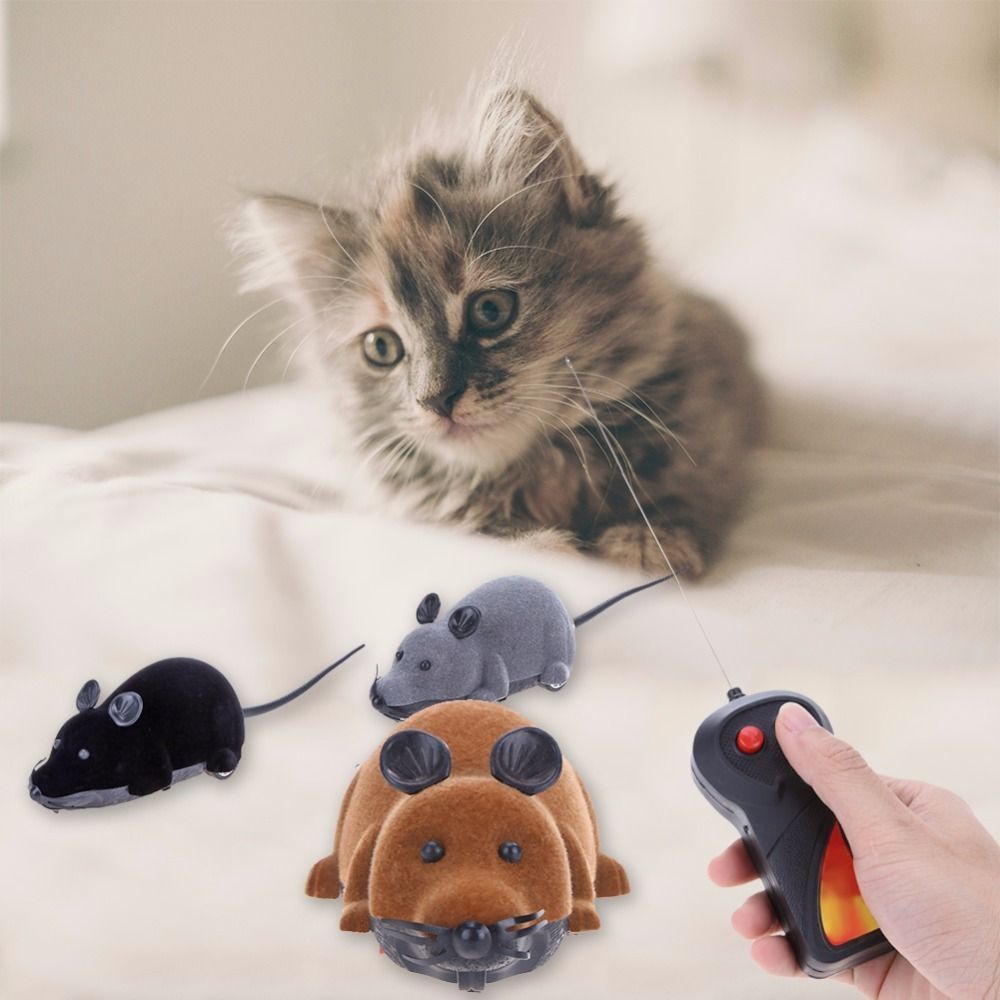 rc mouse cat toy