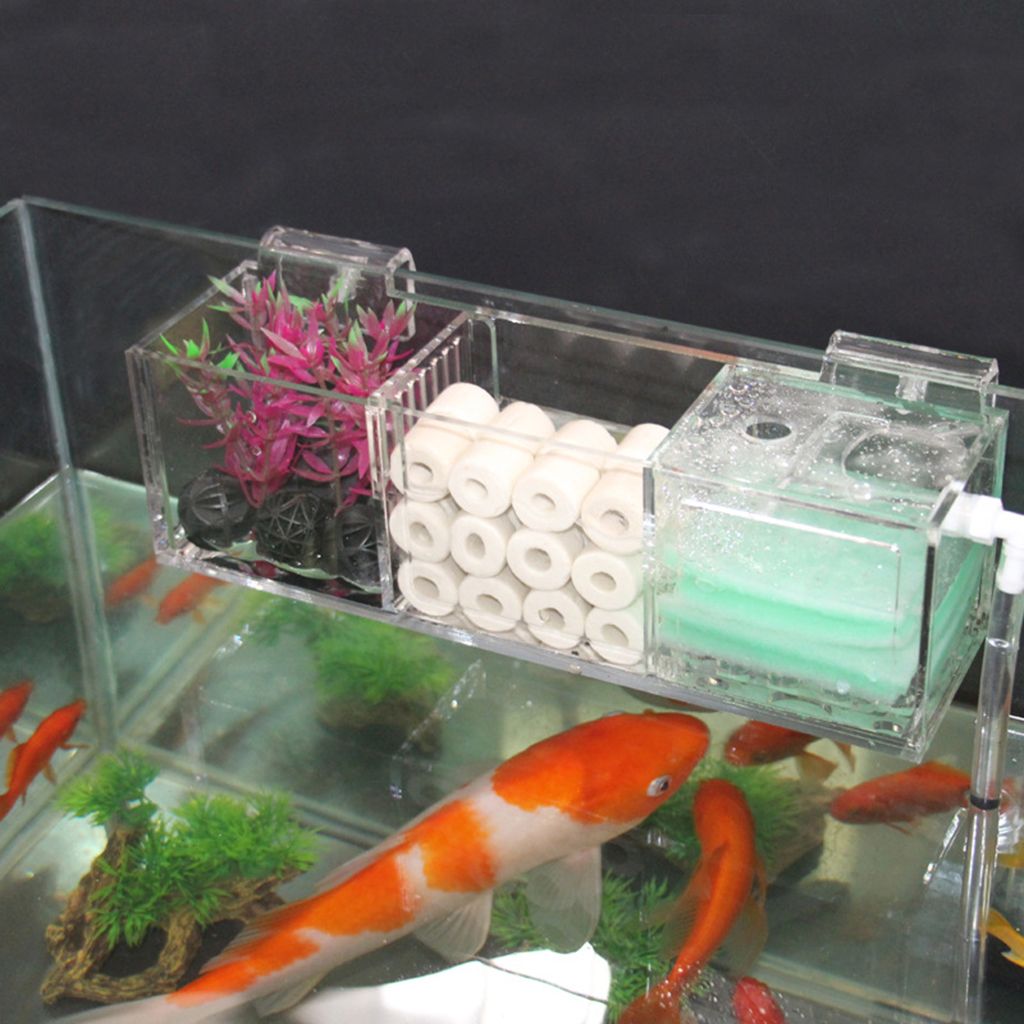 fish box filter