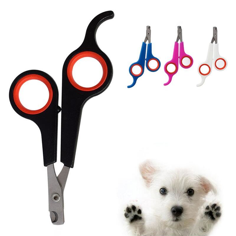 dog nail trimmer with guard
