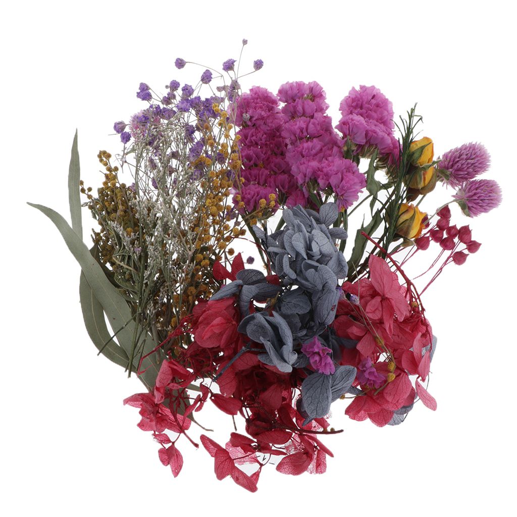 1 bolsa de flores secas, flores secas naturales Hierbas Kit para el baño, fabricación de jabón, 1 bolsa de flores secas, flores secas naturales Hierbas Kit para el baño, fabricación de jabón,