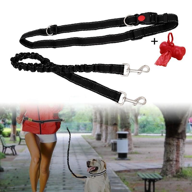 dog leash with waist belt