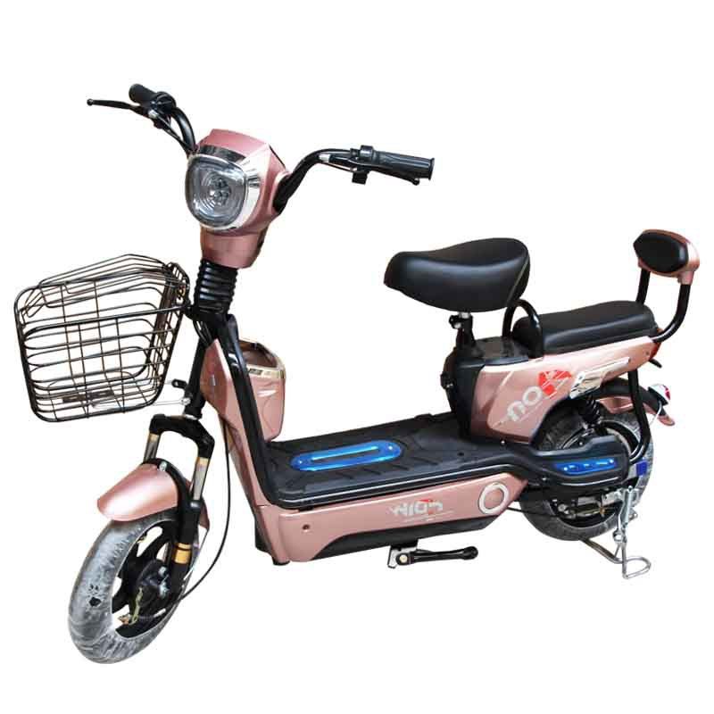 battery car and bike