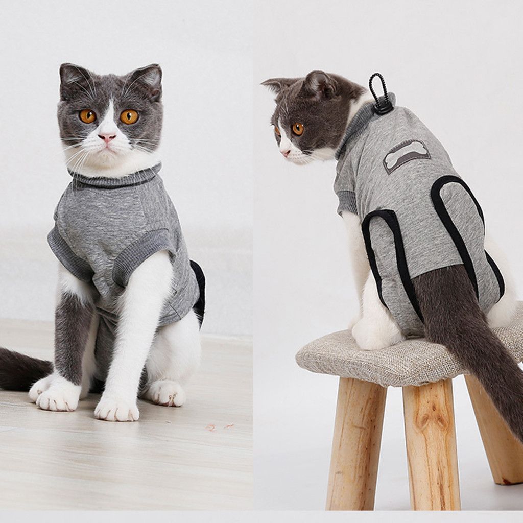 post surgery shirt for cats
