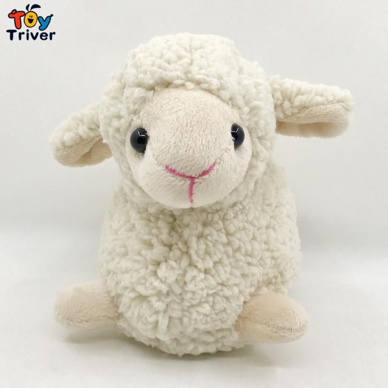 sheep teddy