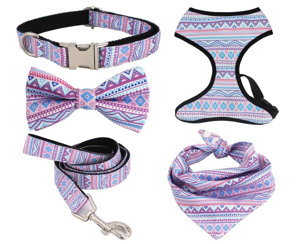 girl dog collars and leashes