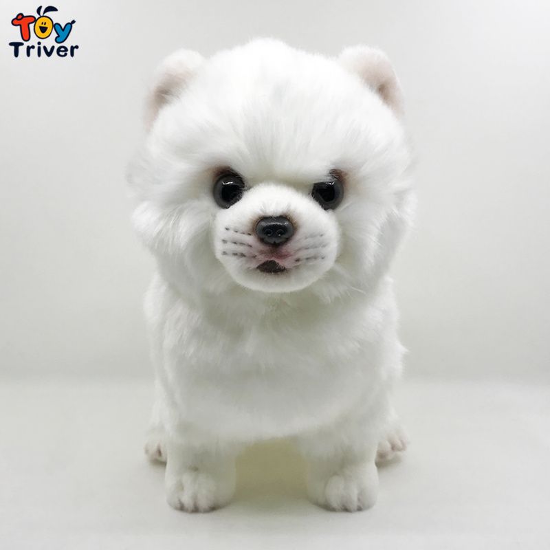 pomerania de peluche