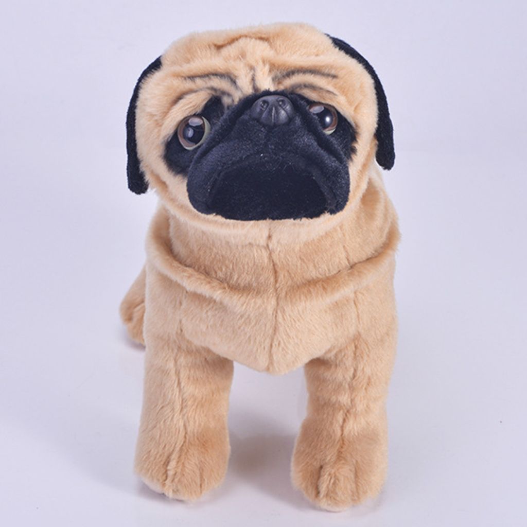 cuddly toy dog breeds