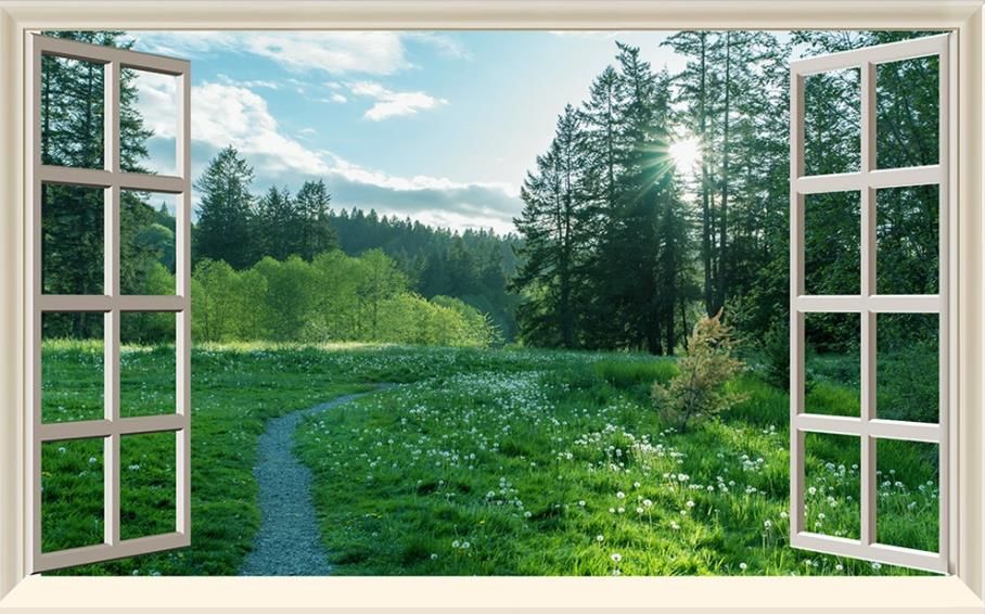 paisaje hermoso bosque fondos de pantalla fondos de pantalla flores luz solar naturaleza de TV de paisaje hermoso bosque fondos de pantalla fondos de pantalla flores luz solar naturaleza de TV de