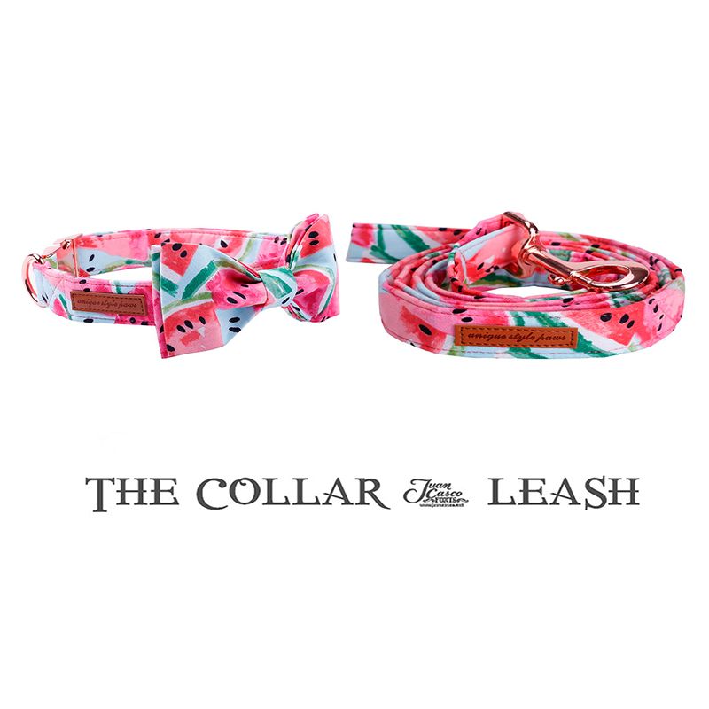 cute dog collar and leash sets