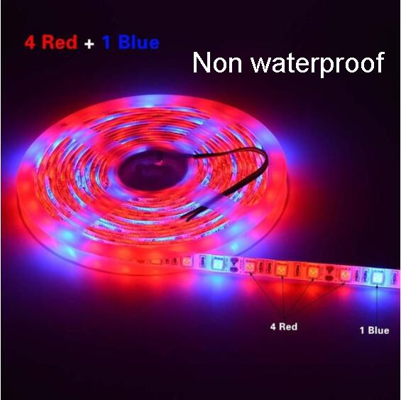 4red:1blue/Non Waterproof