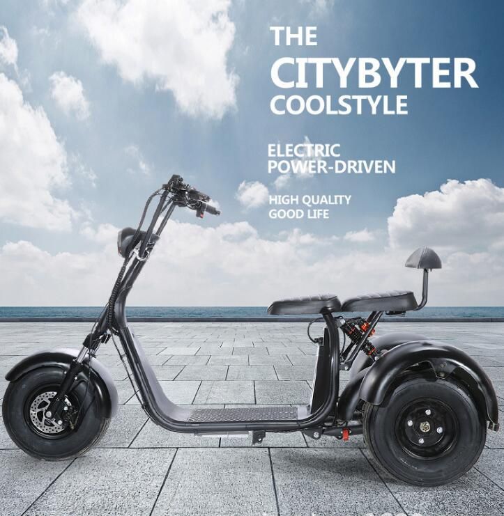 bateria triciclo electrico