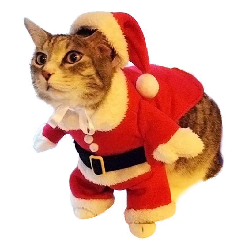 Acheter Pas Cher Vetements Chat De Noel Chien Chat Costume Pere Noel Costume De Noel Dhiver Pet Manteau Vetements Vetements En Coton Pour Chien Chat Du 6 62 Fr Dhgate