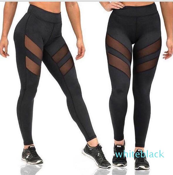 mesh gym leggings