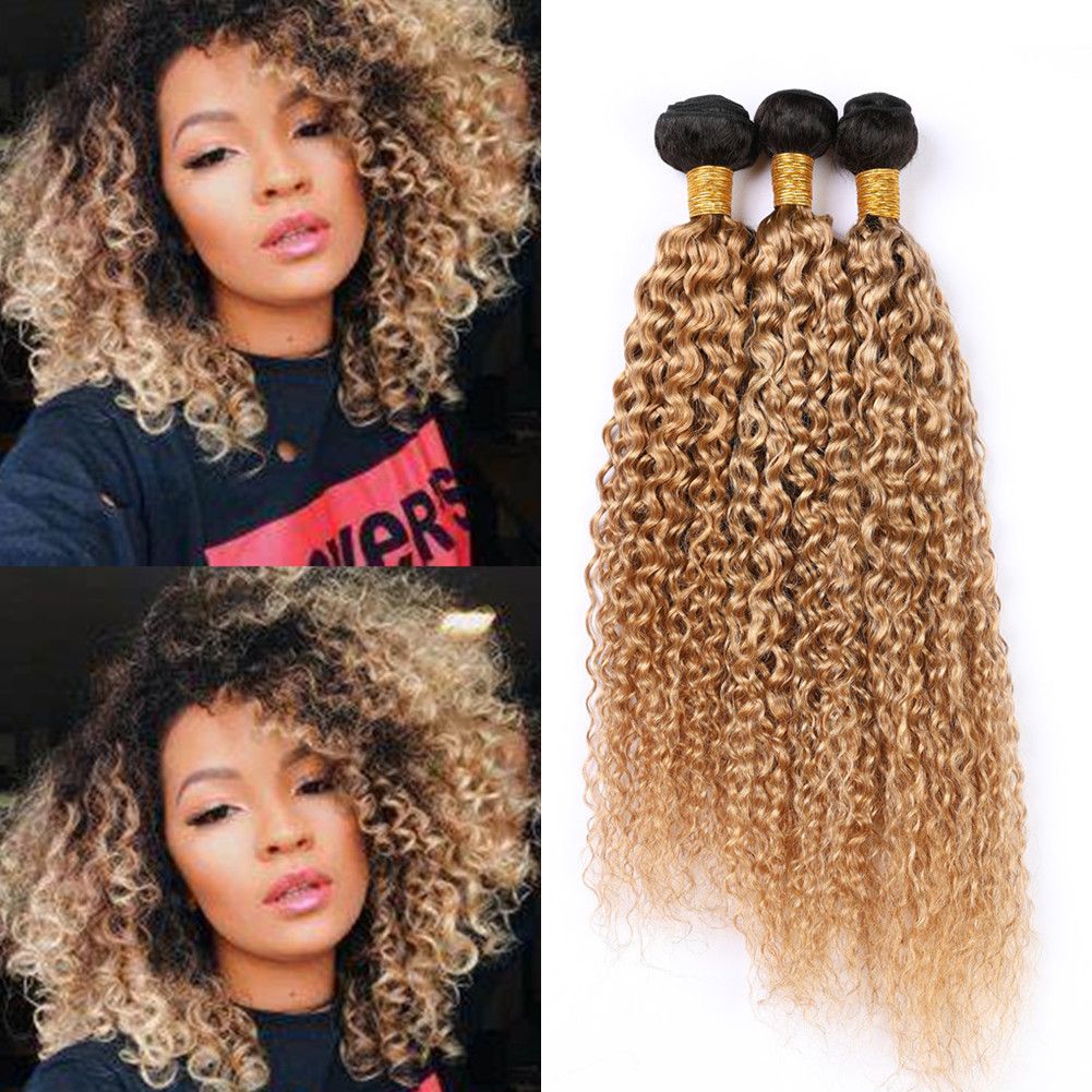 1b 27 Ombre Curly Human Hair Weave Bundles Honey Blonde Ombre