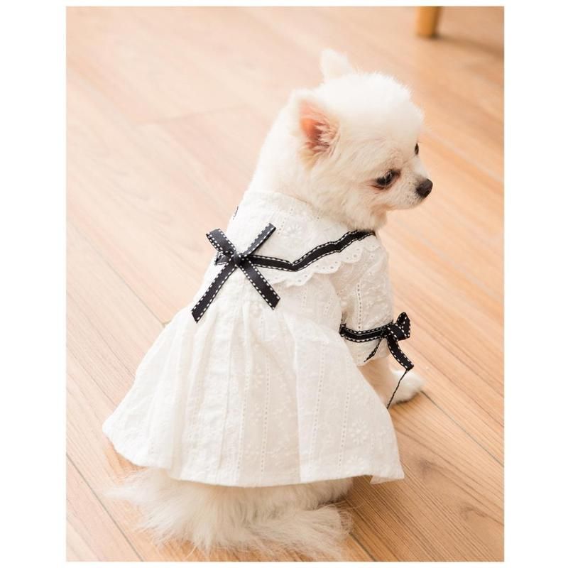 Dog dress online shopping Clearance