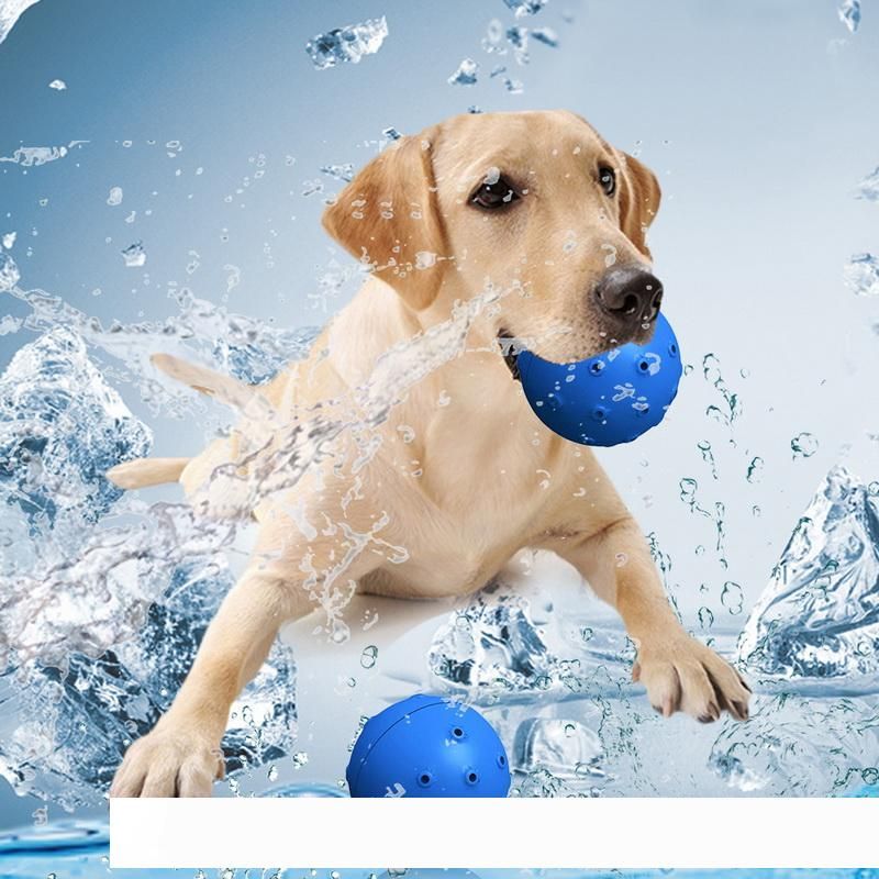 summer toys for dogs