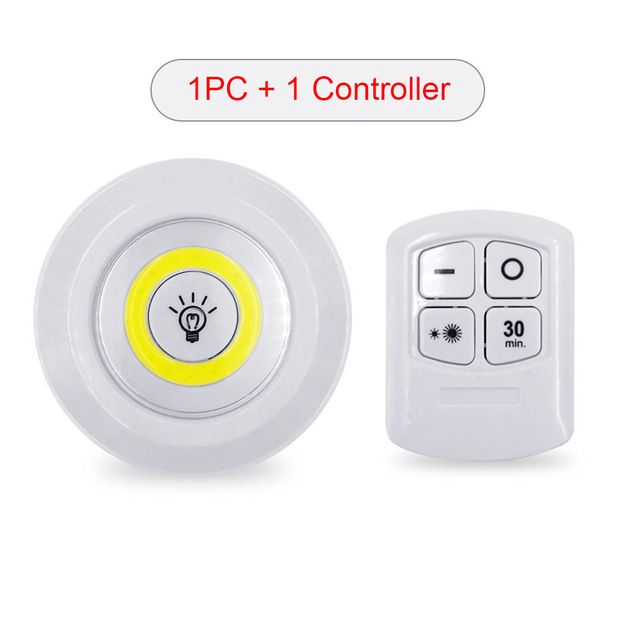 1 / Controller + 1 / Light