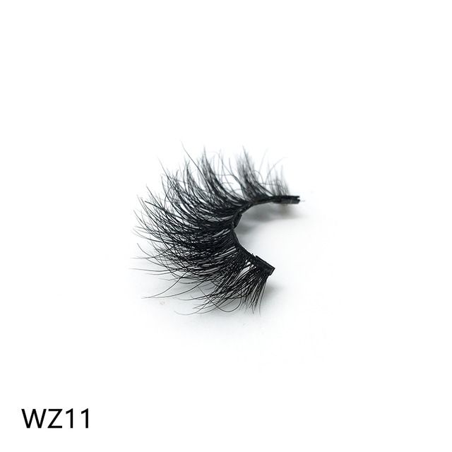 WZ11