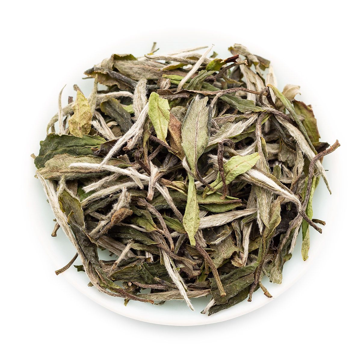 2020 Bai Mu Dan White Peony White Tea Yuqian 1st Grade Fujian Fuding