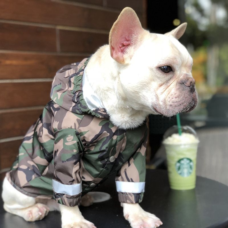 designer dog coats