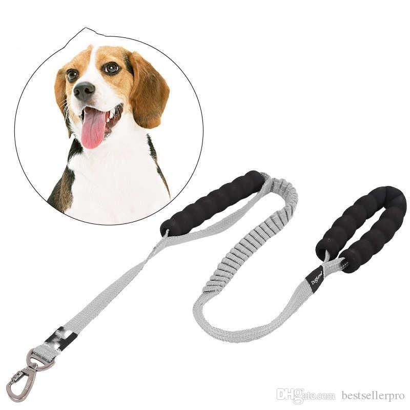 training dog leash no pull
